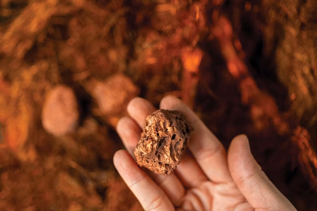 Sumitomo and G Mining Group Back Tintina’s Dos Amigos Copper Project