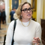 Court filings reveal Kyrsten Sinema had sex multiple times with married bodyguard while serving as senator