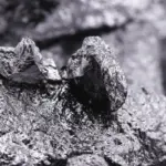 Supra Secures US DoD Contract for Scandium Recovery